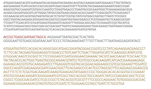 Rhodococcus sp.유래의 Nitralase와 Codon-optimization이 완료된 합성 유전자 Sequence