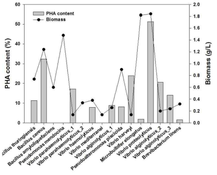 국내 해양 유래 PHA 생산 균주의 PHA content (%)와 Biomass (g/L)