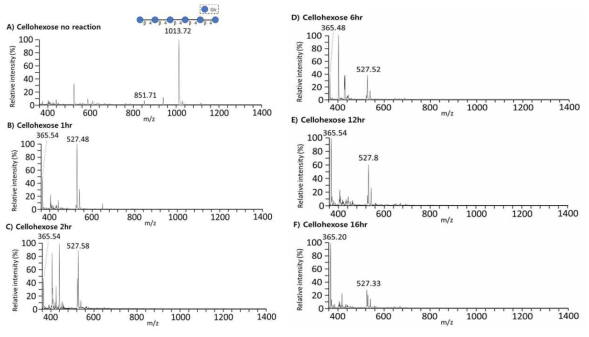 MALDI-TOF MS 기반 beta-1,4 glucanase의 활성에 따른 시간별 cellohexose 대사 물질 검출