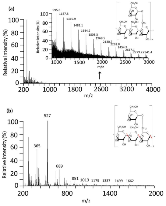 MALDI-TOF MS 기반 beta-1,3 glucanase의 활성에 따른 Screloglucan 대사 물질 검출. (a) 효소반응 전, (b) 효소반응 후