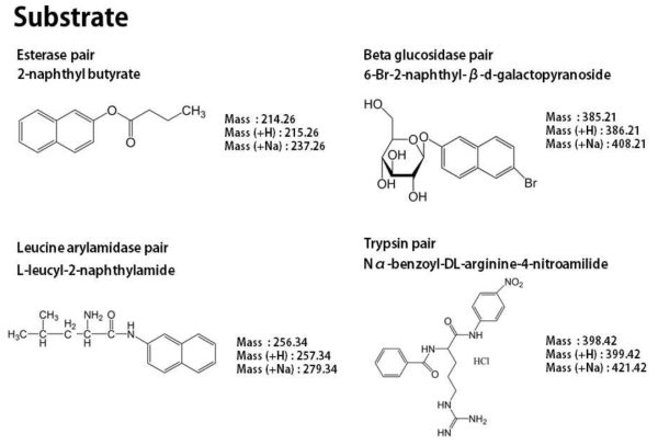 esterase, lipase, esterase/lipase, glucosidase에 의해 각각 분해되는 기질