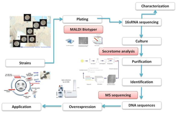 오믹스 기반 분비체 연구 기법 및 활성 기반 항생제 민감성 스크리닝 모식도