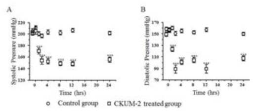 CKUM-2의 고혈압 억제 효과