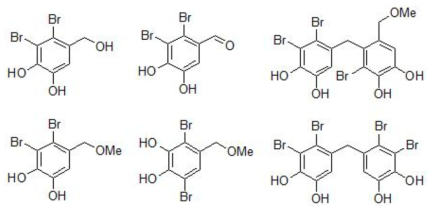 항바이러스 효과가 있는 polybromophenol 화합물