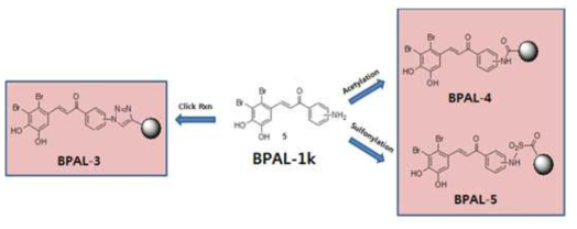 BPAL-3, BPAL-4, 그리고 BPAL-5 라이브러리의 합성