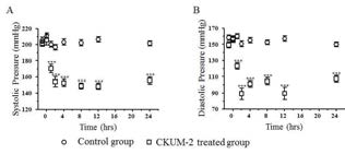 CKUM-2의 고혈압 억제 효과