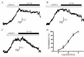 CKUM-2의 혈관이완 효과 (endothelin induced)