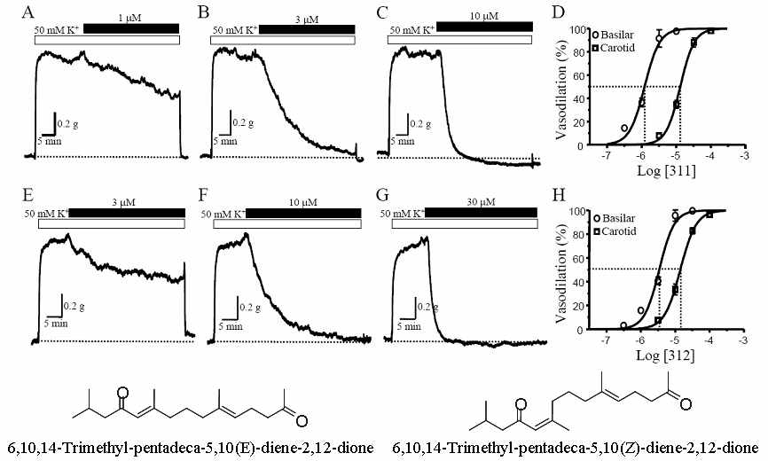 Farnesylacetone 311과 312에 의한 농도의존적 기저동맥 이완효과