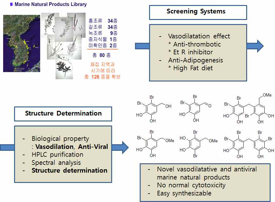 해양생물 추출물 라이브러리의 활성검색으로부터 해양천연분자 모방체 합성 선도물질의 도출