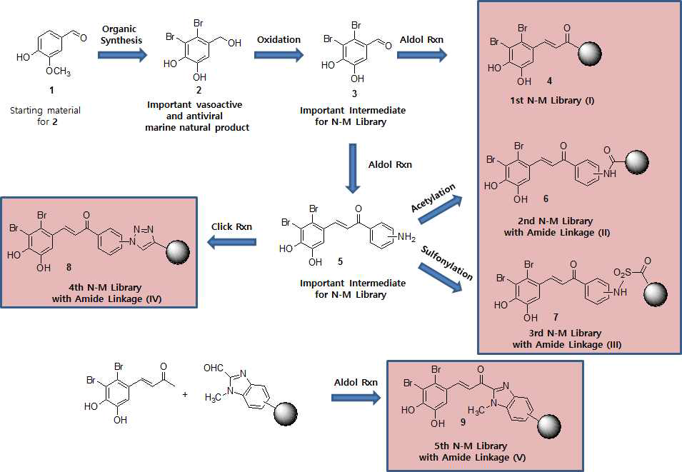 본 연구에서 합성하고자 하는 다양한 Naturo-Mimetic Library