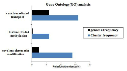 GO(Gene-ontology) 분석 결과