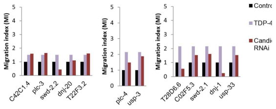 Movement defect transgenic worms expressing TDP-43 causes uncoordinated phenotype. Migration index (MI) indicate degrees of locomotion(P-value<0.05). The MI of control RNAi, TDP-43 RNAi, candidate gene RNAi shown by the black, purple and dark red column, respectively. The 9 of total 22 candidate genes RNAi increased MI in compared to control RNAi