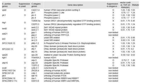 C. elegans movement assay results