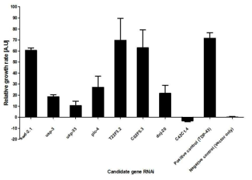 RNAi method를 이용한 예쁜 꼬마 선충 성장능 평가