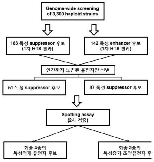 3,330여종의 haploid mutant 균주 pool에 OPTN을 형질 시켜 HTS로 독성조절인자를 NGS와 결합하여 스크리닝 하는 전략도