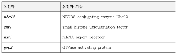 OPTN suppressor candidates 4종