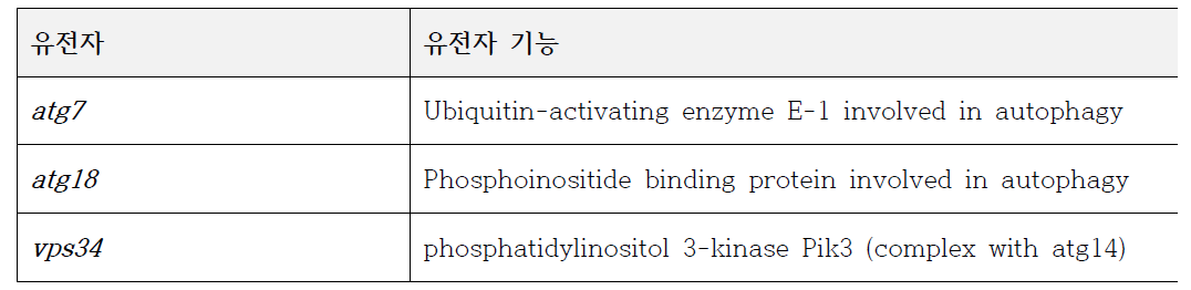 OPTN enhancer candidates 3종