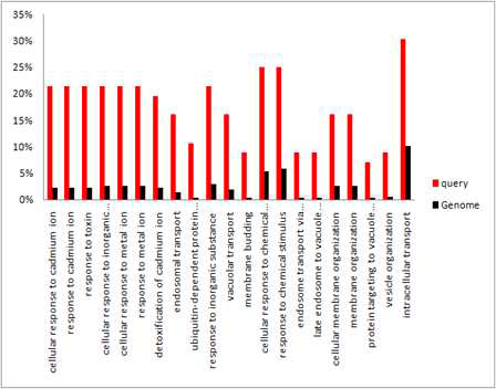 GO분석결과 ‘단백질수송’, ‘중금속 항상성조절’ 그리고 ‘ubiquitin 의존성 단백질분해’가 GO term에서 enrich 됨