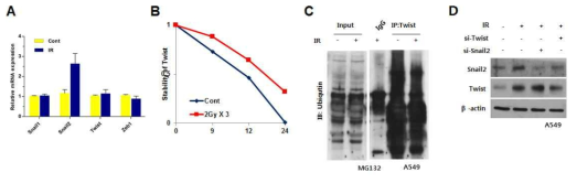 방사선 반응 분비인자에 의한 EMT 전사인자 Twist 단백질의 안정화