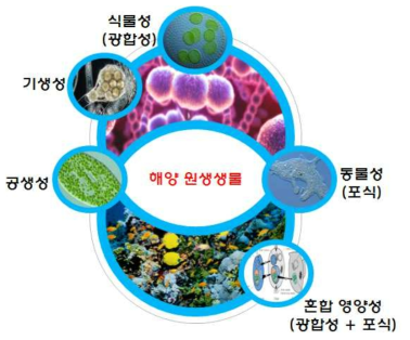 해양원생생물의 영양방식 (trophic mode)