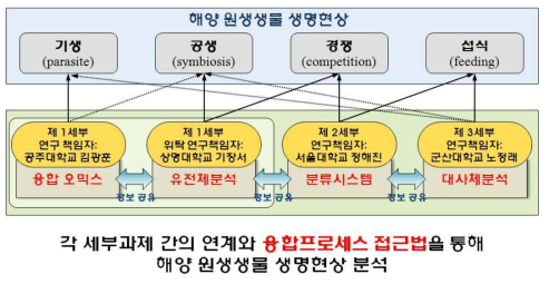 연구개발과제의 구성 및 체계도