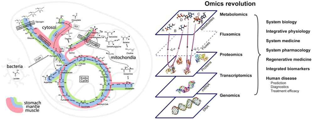 Fluxomics and integrated multi-omics approach (자료: Metabolites 2014, 4(1), 53-70; doi:10.3390/metabo4010053, Croat Med J. 2012;53:529-34 doi:10.3325/cmj.2012.53.529)