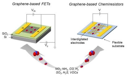 그래핀 나노소재 기반의 가스센서 개략도
