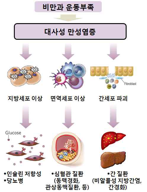 대사성 만성질환과 관련된 대사질환