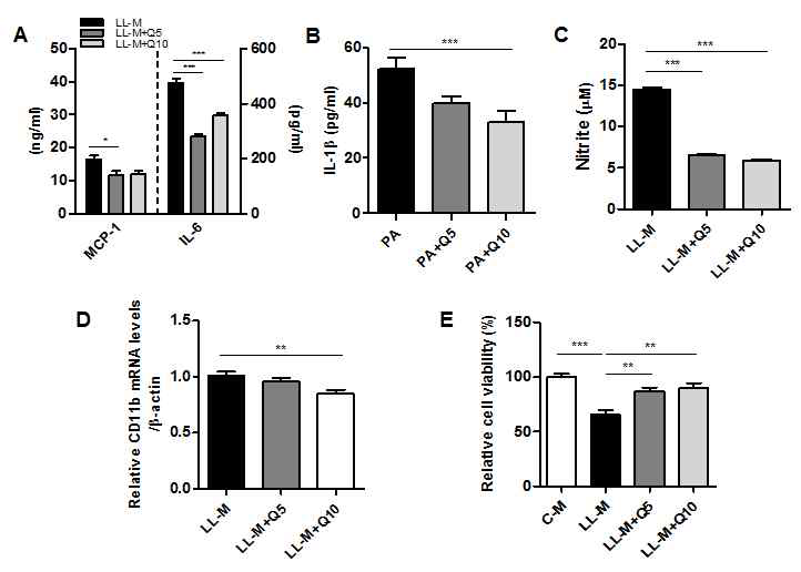 Effect of quercetin on the inflammatory response of lipid-laden microglia. Microglia were pretreated with quercetin (5, 10μM) for 2h, and then treated with palmitic acid (300 μM) for 48h. (A and B) The levels of MCP-1, IL-6 and IL-1b in the conditioned-medium were measured by ELISA. (C) The amounts of nitrite in the conditioned-medium were measured by the Griess method. (D) The transcription levels of CD11b were measured by RT-PCR analysis. Data are the means ± SEM of three independent experiments performed in triplicate. *P<0.05, **P<0.01, ***P<0.001 compared with control