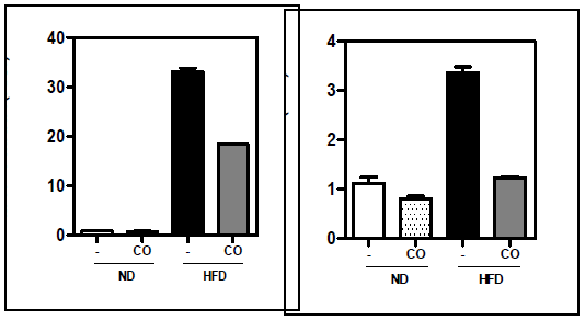 Inhaled CO reduces expression of inflammatory cytokine mRNAs in obese adipose tissue. Mice were fed an HFD or a normal diet (ND; control) for 16w, and from the sixth week of the feeding, mice were inhaled CO (250ppm) for 2h each day for 10 wk. RT-PCR analyzed inflammatory cytokines (MCP-1, IL-6)