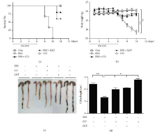 CO attenuates DSS-induced experimental colitis as measured by survival, body weight, and colon length.Mice were administrated with 3% DSS with drinking water for 6 days and CO (250 ppm) inhalation for 4 h daily and injection of LiCl (200mg/kg, i.p) was performed daily for more 4 or 6 days. (a) Survival percent was measured at day 12. (b) Body weight was measured at day 10. (c) and (d) Colonlength.(c) Representative images of 3 tests conducted in each group. (d) Data are mean ± SD for 3 mice. Con: Control, DSS: dextran sufate sodium salt and Data represents mean ± SEM, ∗P < 0.05, ∗∗P < 0.01