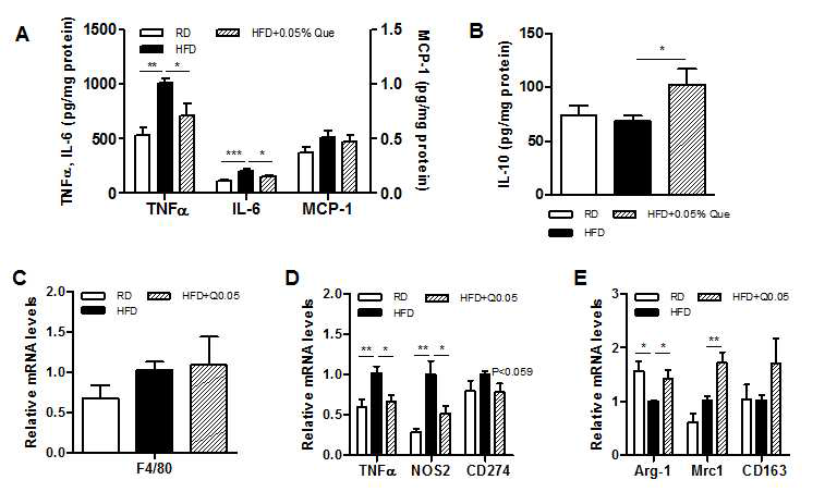 Effects of quercetin on hepatic inflammatory responses and macrophage phenotypes in HFD-fed obese mice. (A) Inflammatory cytokines (TNFa, IL-6, and MCP-1) and (B) an anti-inflammatory cytokine (IL-10) in liver were determined as described in Methods. Results are means ± SEM of six mice per group. *<0.05, **<0.01, ***<0.001 compared with obese mice fed an HFD. (C) F4/80 as a macrophage marker and (D-E) M1 and M2 macrophages mRNAs in livers were determined by real time-qPCR. The intensity of the bands was densitometrically measured and normalized to GAPDH transcripts. Results are means ± SEM of six mice per group. *<0.05, **<0.01 compared with obese mice fed an HFD