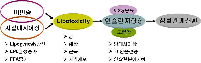 비만 및 대사질환의 관계