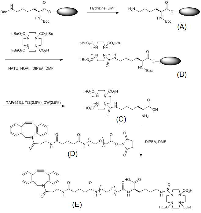 고체지지상 합성방법을 이용한 DBCO-PEG-Lys-DOTA의 제조