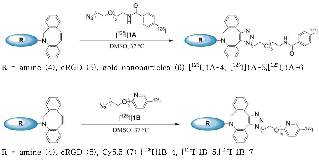 [125I]1A와 [125I]1B를 활용한 다양한 물질의 방사성요오드 표지