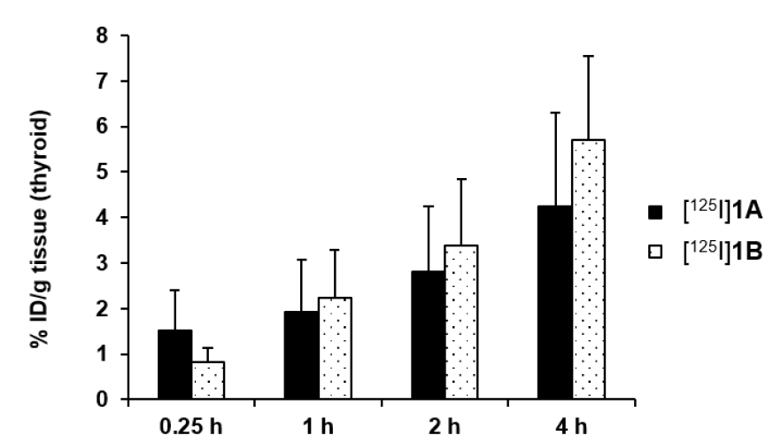 [125I]1A와 [125I]1B의 thyroid 흡수 비율 (n = 5)