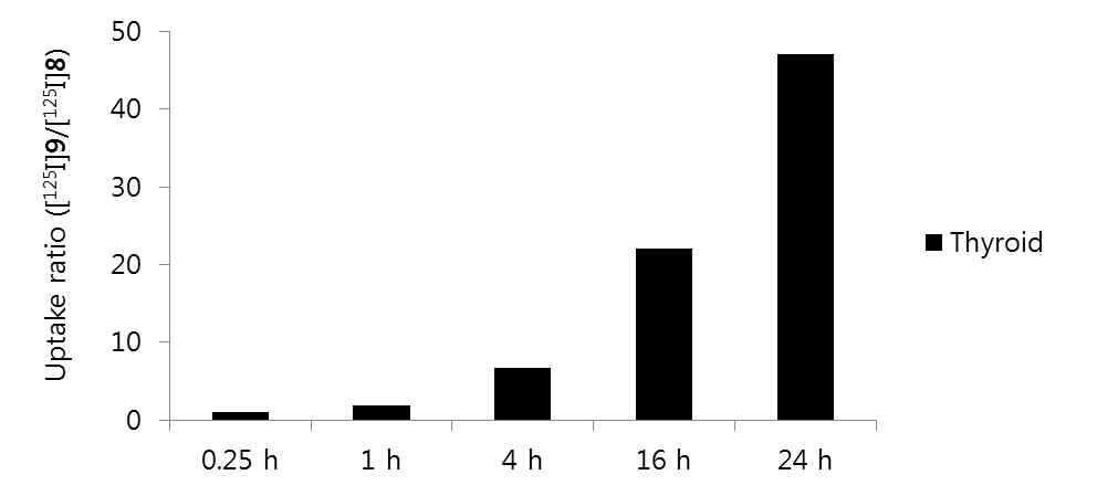 [125I]8과 [125I]9의 thyroid 흡수율 비교
