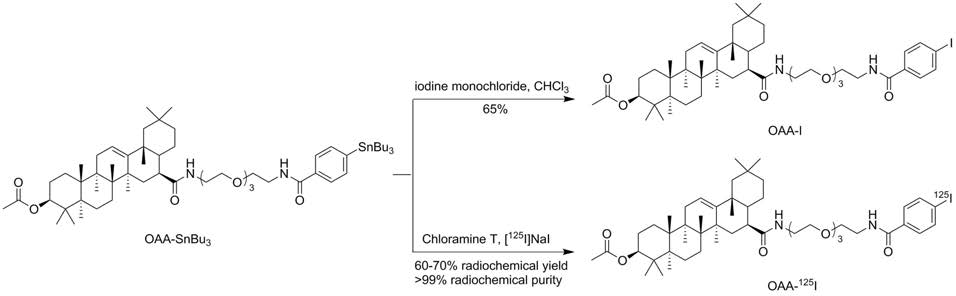 OAA-I 및 OAA-125I 합성