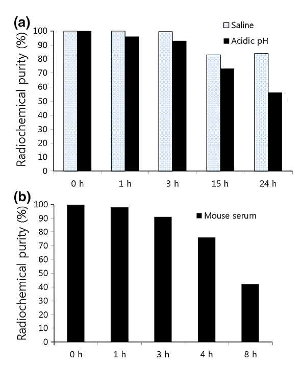 [125I]1의 시험관 안정성 평가. (a) Saline과 acidic pH에서 안정성, (b) Mouse serum에서 안정성 평가