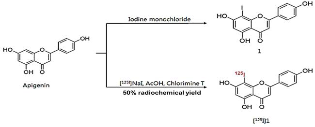 Apigenin의 방사성요오드 표지 과정 ([125I]1)