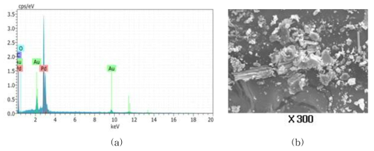 (a) EDS Analysis, (b) SEM photograph