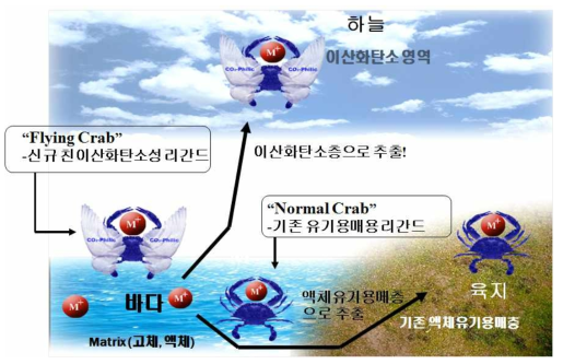 이산화탄소용 킬레이트 리간드의 금속 착물 형성 원리