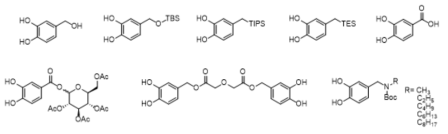 Catechol amine 계열 유도체