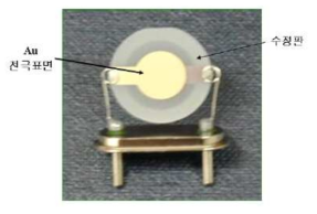 QCM (Quartz Crystal Microbalance)