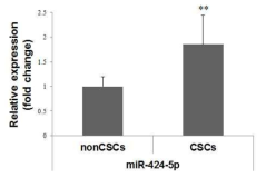 CSCs과 non-CSC에서 miR-424-5p의 발현 차이를 보여주는 real-time qRCR 결과 (**P < 0.01)