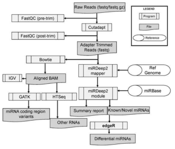 CAP-miRSeq 파이프라인의 workflow (BMC Genomics 2014, 15:423)