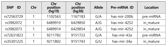 miRNA 유전자에 존재하는 SNPs의 일부