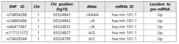 miRNA 유전자 flanking 지역에 존재하는 SNPs의 일부