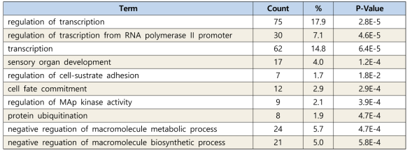 Gene Ontology 분석: Biological Process