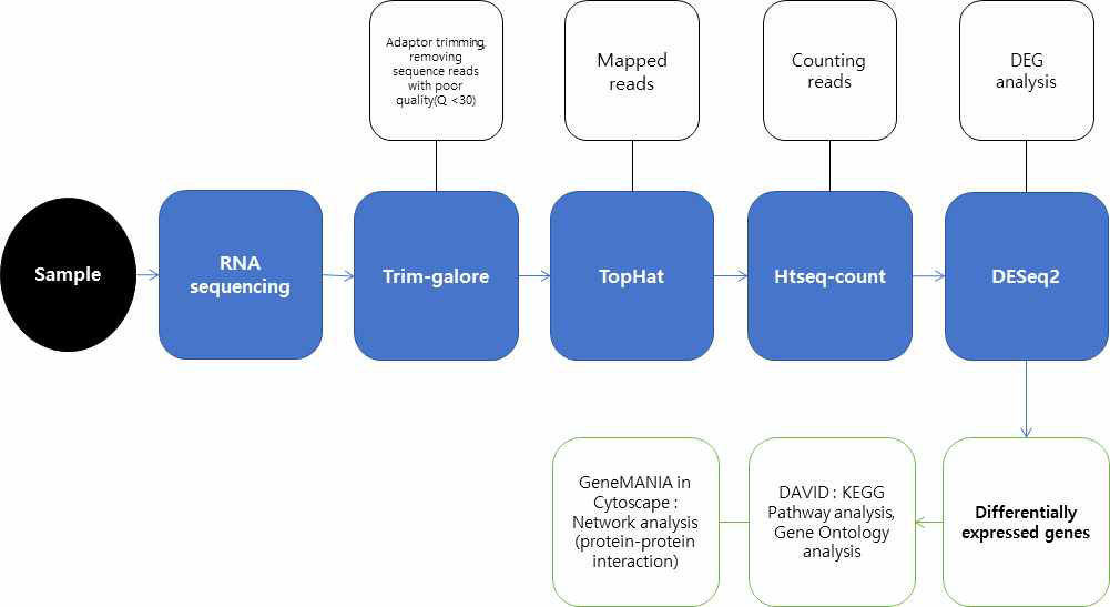 mRNA 시퀀싱 데이터 분석 파이프라인